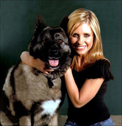 Buffy · Actors